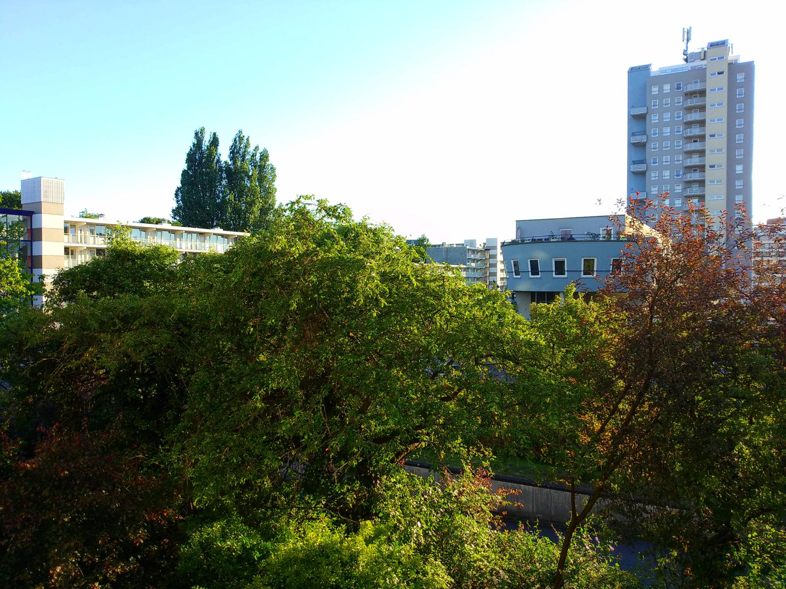 Kiekcam-foto van uitzicht over de stad met bomen